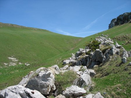 Vallon de Pratcel vu des ruines du Habert de Val Froide
