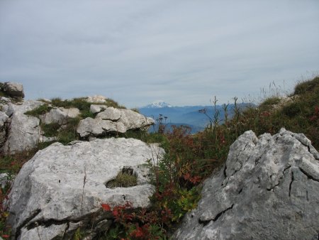 Le Mont-Blanc vu du plateau sommital