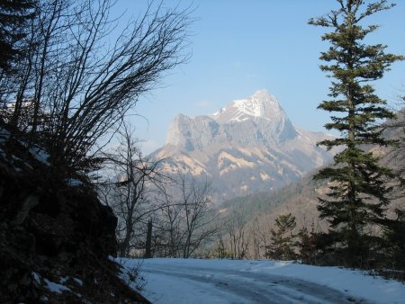 Le Mont Trélod vu de la piste de montée