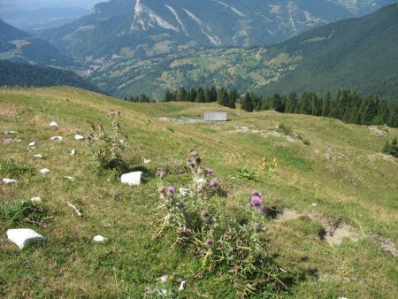 Alpage et Cabane de l’Alpettaz (Habert de la Dame)
