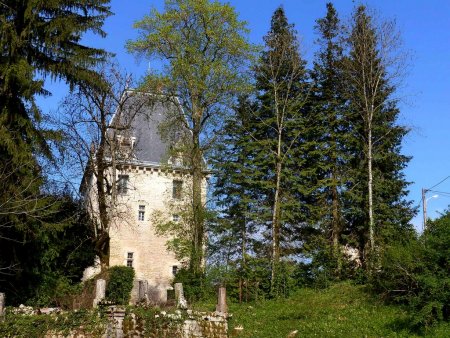 Château de Ceuille.