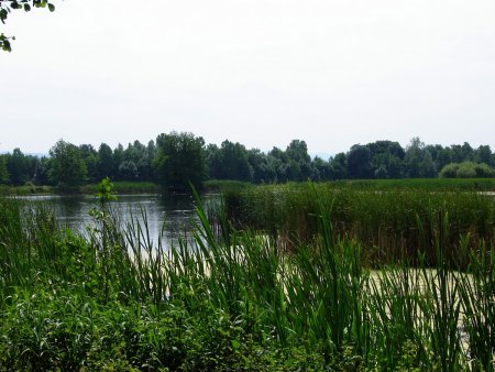 L’étang de la Ronze.