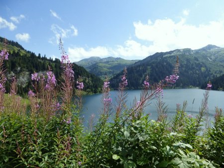 Lac de St Guérin