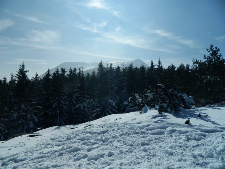 Atmosphère un peu brumeuse sur le versant nord-est du mont Mézenc.