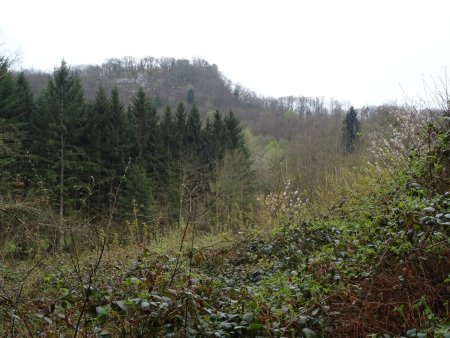 Au loin, les ruines du château de Montbel