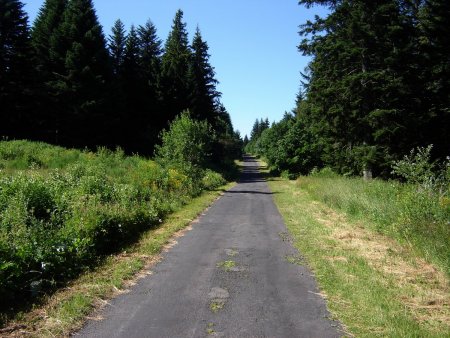 Route forestière «»ouest«».