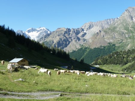 L’Alpe du Lauzet