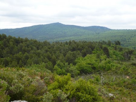 Le Regagnas vu depuis les collines à l’ouest de Kirbon (photo hors itinéraire).