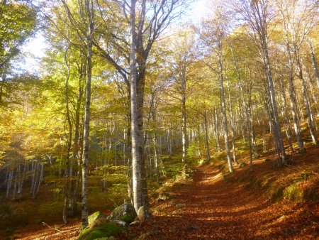 L’automne en Ariège... Tout simplement magnifique !