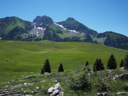 Le plateau de Cenise. Au fond, pointe de Balafrasse, pointe Blanche et Jallouvre.