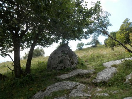 L’arbre avec son rocher surmonté d’un cairn