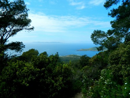 La Pointe de Malalongue et l’île de Porquerolles.