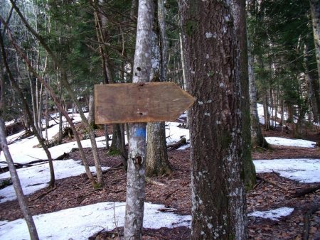 Vieux panneau en bois ou il est inscrit La Palette, jonction avec le Chemin des Boeufs