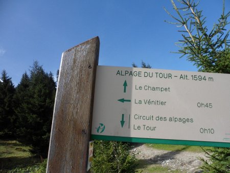 L’alpage du Tour (2)