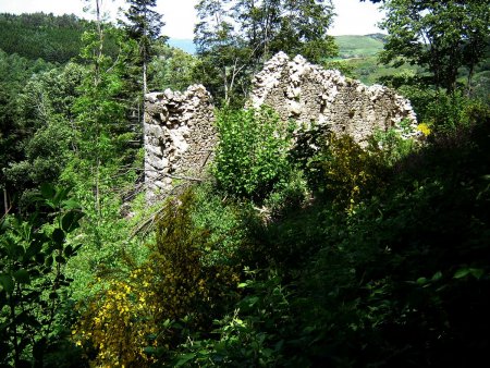 Les ruines de la ferme de Brûlé.