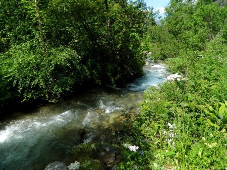 Ruisseau de Sarenne.