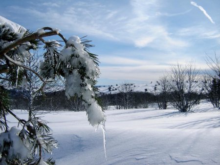 Image d’hiver.