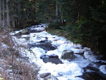 Le ruisseau de Pierre Brune est un vrai torrent de montagne.