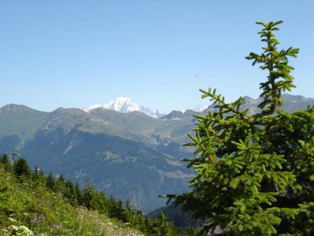 Vue sur le Mont Blanc (4810m)