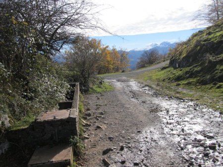Puis la piste va rejoindre une petite route de montagne (qui relie Larrau à Lacarry).