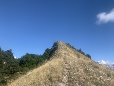 Le sommet (vue rétro à la descente).