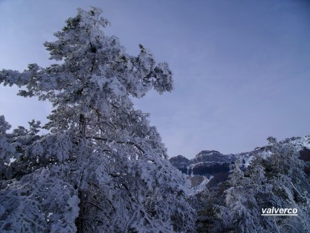 Le Rocher du Baconnet et paysage d’hiver