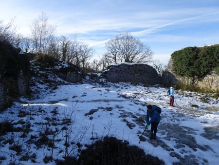 Ruines du Château de Cessens-Neuf