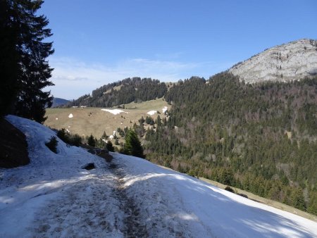Retour vers le Col de Bornette
