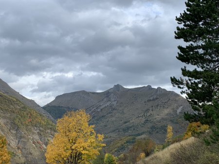  Montagne de Charance (versant nord).