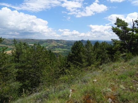 Entre les arbres on aperçoit : au centre le Truc du Midi (1020m), à sa droite la Montagne Fendue (1005m), et plus à droite le Truc de Grèzes (1008m)