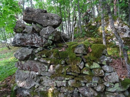 Ruines, à 1250 m : et ici l’angle de gauche. La pierre supérieure fait bien 80 cm de long. Je ne vous dis pas le poids !