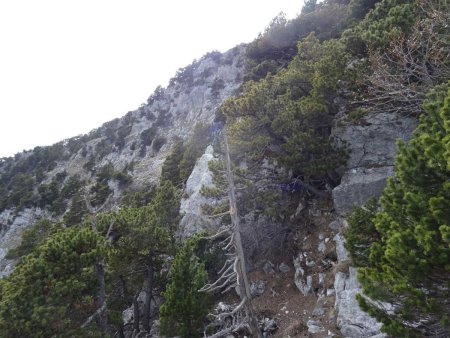 À la suite de ce contournement, on arrive sur le sommet rocheux du pilier est. Coup d’oeil vers le versant est