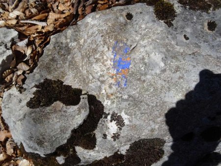 Sur une pierre, une vieille marque bleue est encore visible. Ce fut la seule repérée.