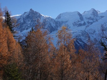 Derrière la forêt d’automne, les glacier d’hiver.