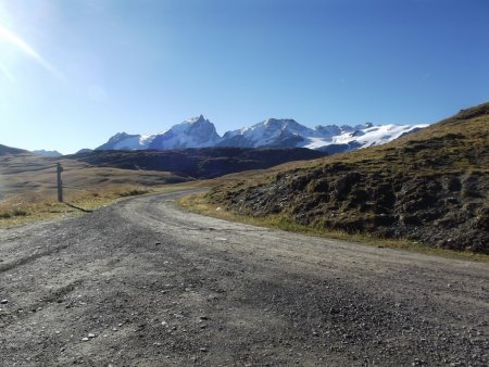La Meije, le Rateau et le glacier de la Girose vus du départ