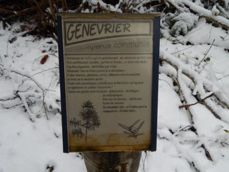 Arboretum Le Genévrier