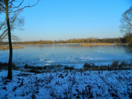Le grand étang, en partie  gelé.
