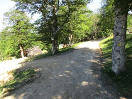Une piste traverse la zone des chalets et descend en lacets (balisage jaune du PR).