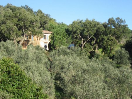 Quelques maisons au milieu de la forêt méditerranéenne.
