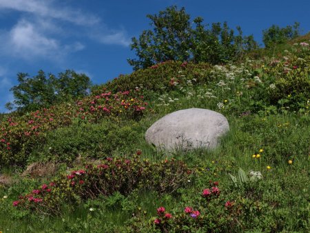 Une boule de pierre dans la verdure fleurie.