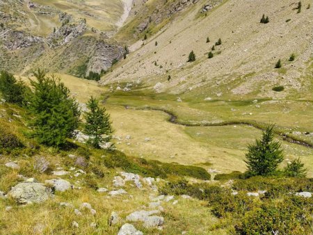 Dans la descente du Vallon de la Baume, à l’approche du sentier menant au Col de Reyssas et/ou au Clot l’Herbous