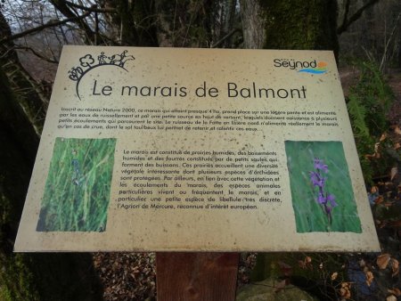 Marais de Balmont