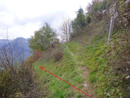 Le sentier balisé (peinture jaune) remonte sur environ 200 mètres, puis au niveau de ce poteau, le laisser et partir à gauche.