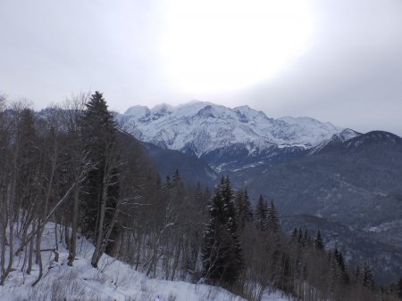 Le massif du Mont Blanc vu de Plaine-Joux.