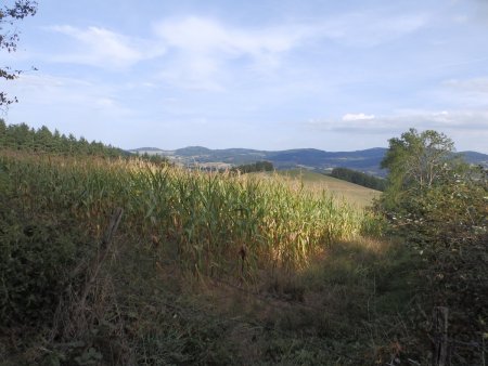 Monts du Beaujolais.