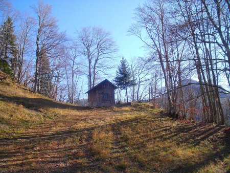 Cabane de Grandchamp en lisière nord