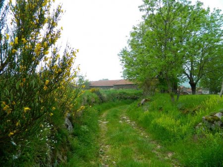 Le hameau de Buet.