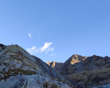 Chamois dans les moraines du Glacier Blanc avec le Pic du Glacier Blanc (3525 m) et le Pic du Glacier d’Arsine (3364 m)